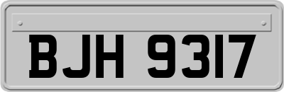 BJH9317