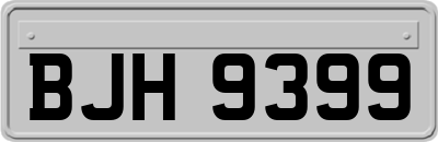 BJH9399