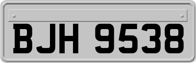 BJH9538