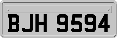 BJH9594