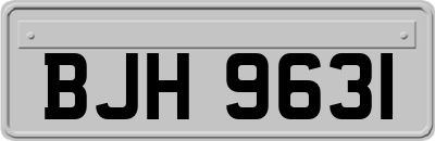 BJH9631