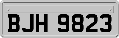 BJH9823