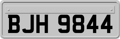 BJH9844