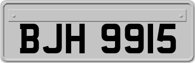 BJH9915