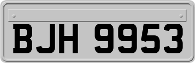BJH9953