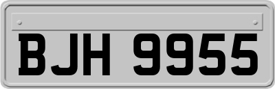BJH9955