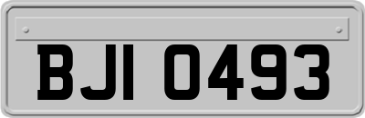 BJI0493