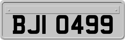 BJI0499