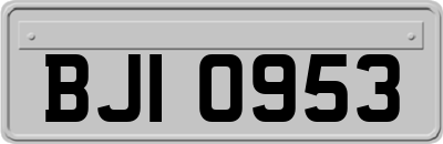 BJI0953