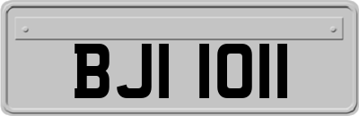 BJI1011