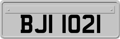 BJI1021