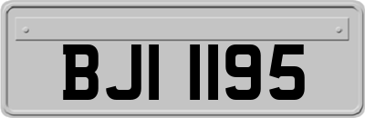 BJI1195