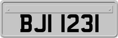 BJI1231
