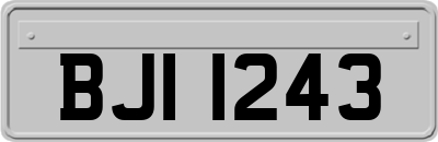 BJI1243