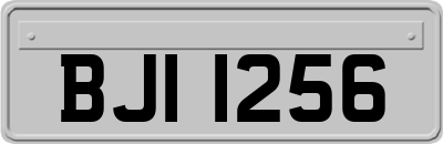 BJI1256