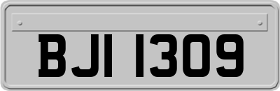 BJI1309