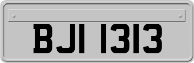 BJI1313