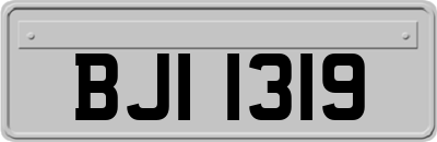 BJI1319