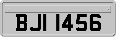 BJI1456