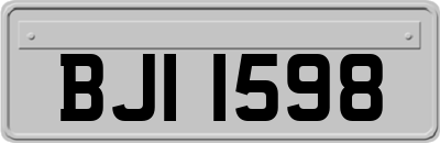 BJI1598