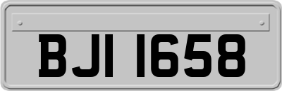 BJI1658