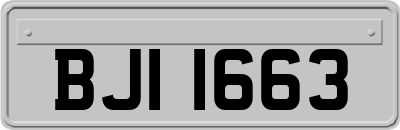 BJI1663