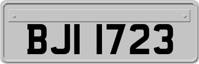 BJI1723