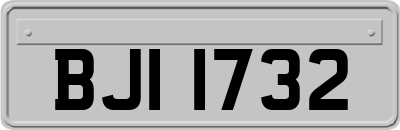 BJI1732