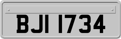 BJI1734