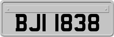 BJI1838