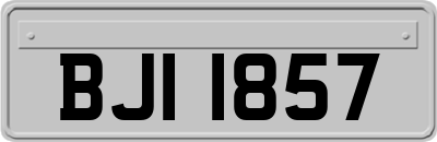 BJI1857