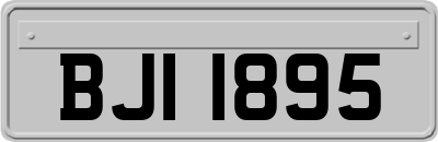 BJI1895