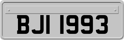 BJI1993