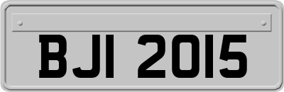 BJI2015