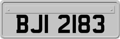 BJI2183