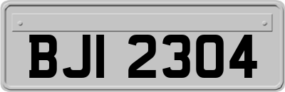 BJI2304