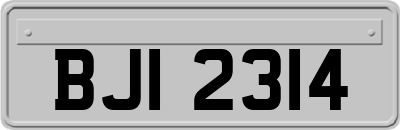 BJI2314