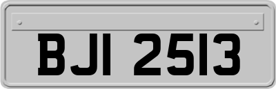 BJI2513
