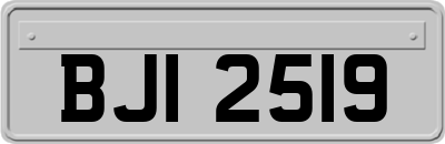 BJI2519