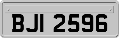 BJI2596
