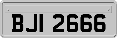 BJI2666