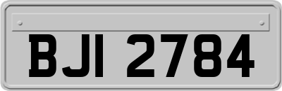 BJI2784