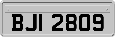BJI2809