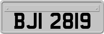 BJI2819