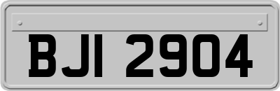 BJI2904