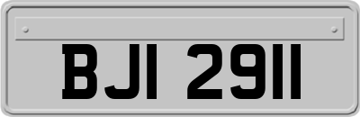 BJI2911