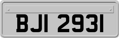 BJI2931