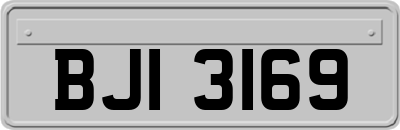 BJI3169