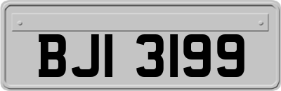 BJI3199