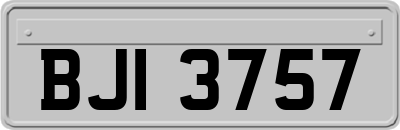BJI3757